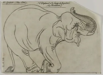 Gustave Soury dessin Fable de La Fontaine 1945 1967.116.610 Photo