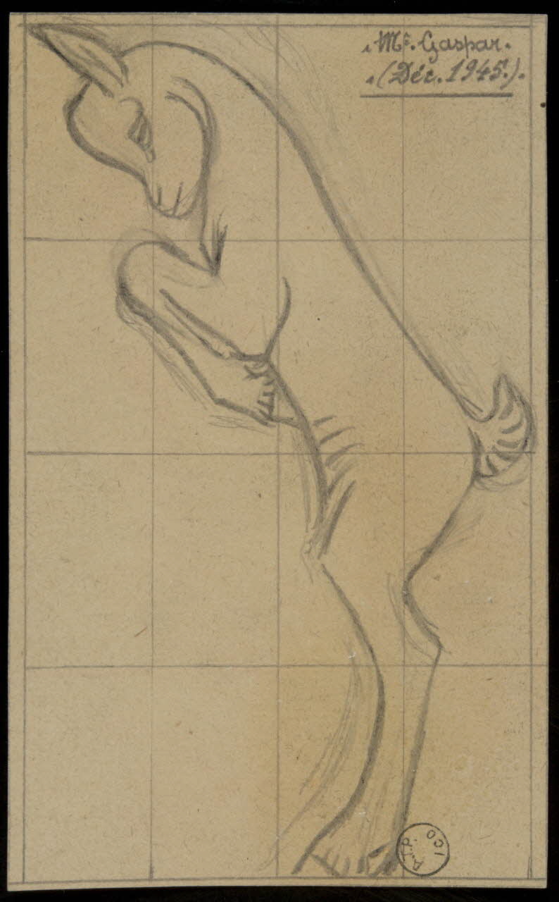 Gustave Soury dessin Chevreau cabré 1945 1967.116.613 Photo