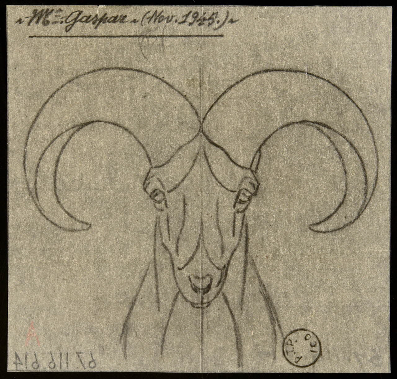 Gustave Soury dessin Tête de mouflon 1945 1967.116.614 Photo