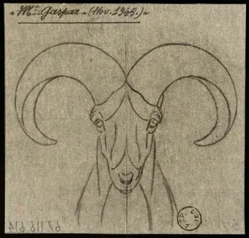 Gustave Soury dessin Tête de mouflon 1945 1967.116.614  Photo