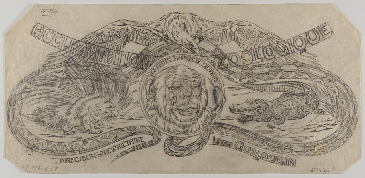 Gustave Soury dessin Projet d'affiche pour l'acclimatation zoologique 1922 1967.116.618 Photo