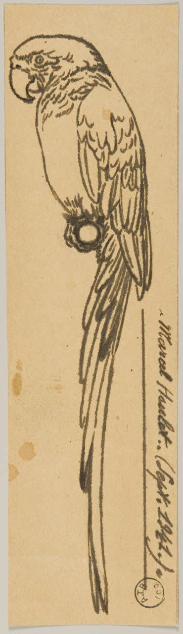 Gustave Soury dessin Ara 1941 1967.116.659 Photo