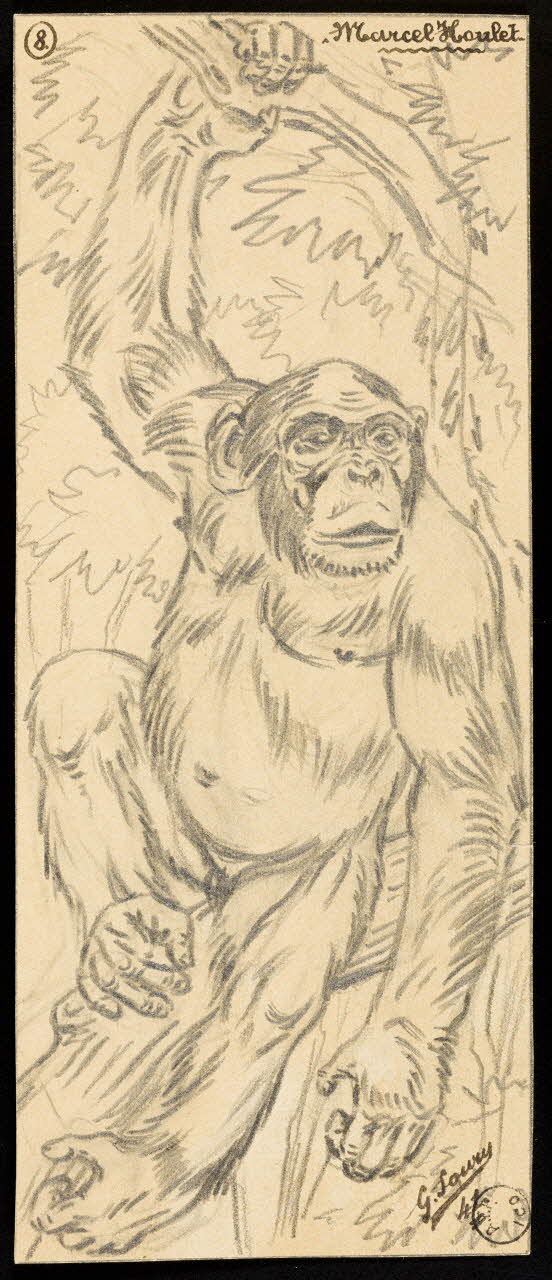 Gustave Soury dessin Gorille 1941 1967.116.662 Photo