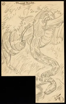 Gustave Soury dessin Serpent constricteur 1941 1967.116.663 Photo