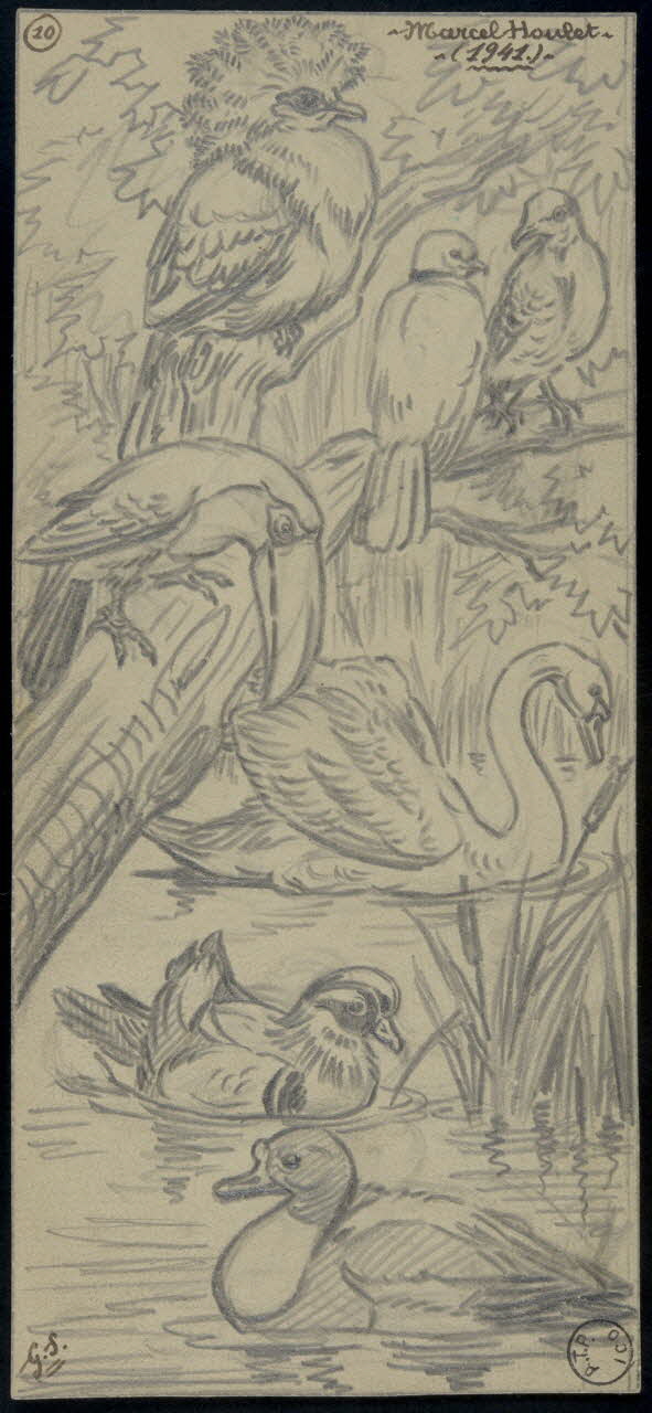 Gustave Soury dessin Sept oiseaux dans un paysage 1941 1967.116.671 Photo