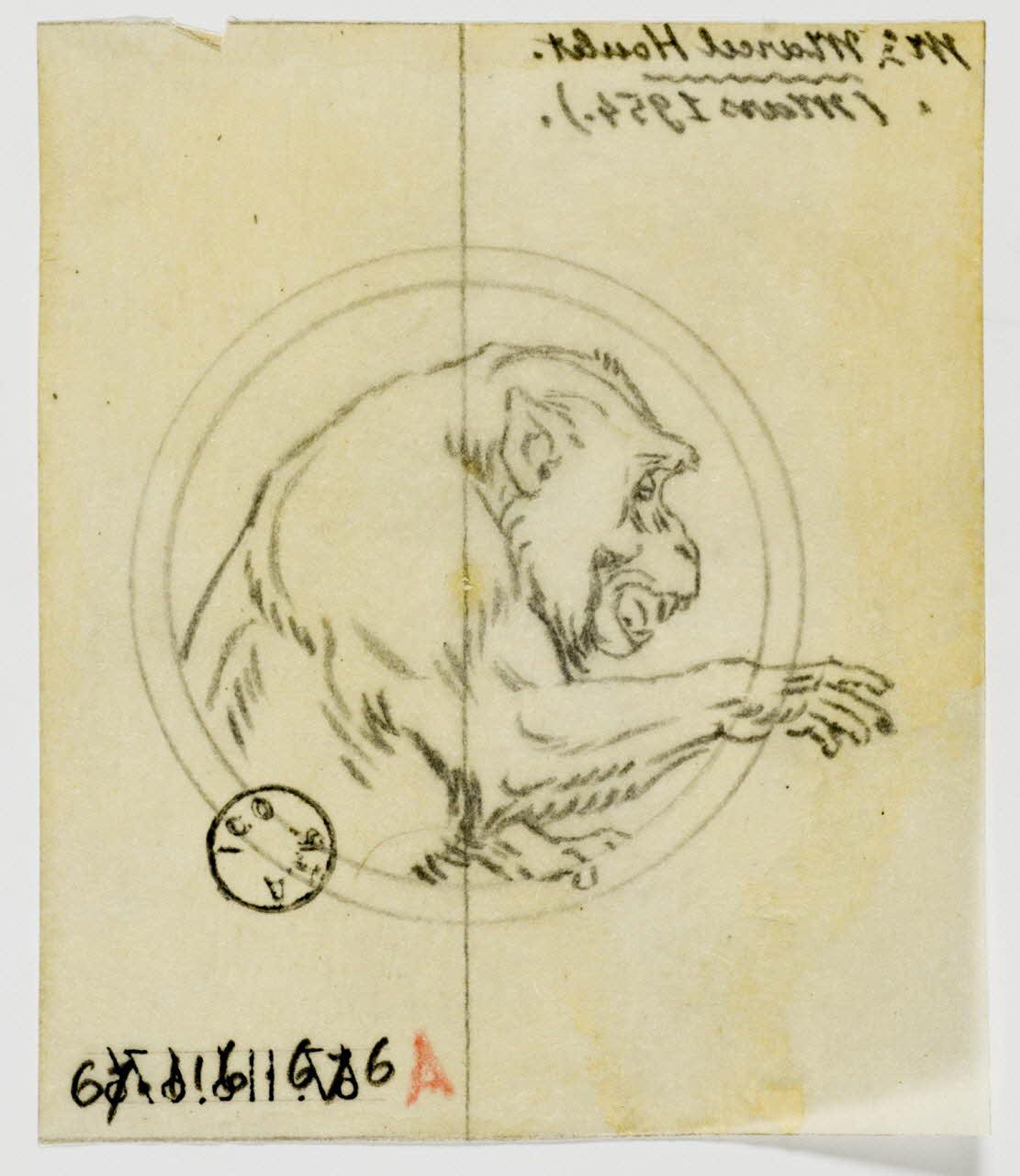 Gustave Soury dessin Chimpanzé dans un médaillon 1954 1967.116.676 Photo