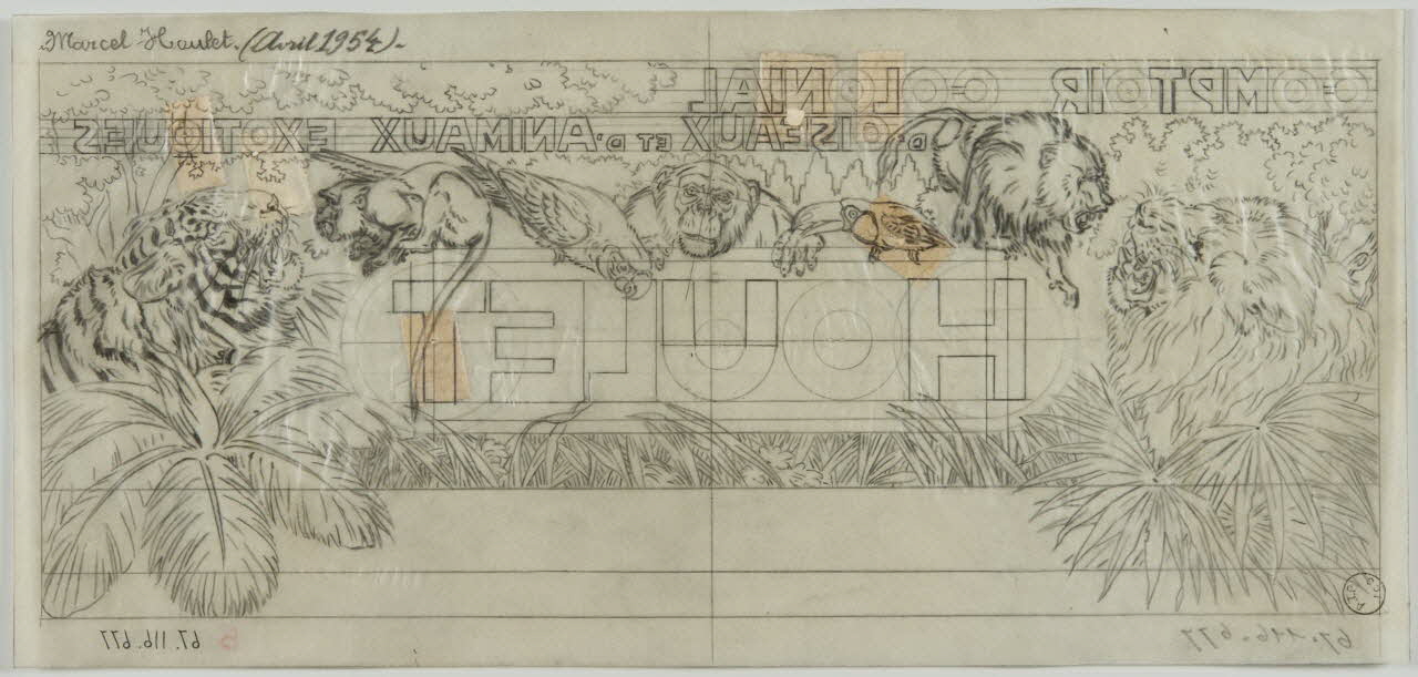 Gustave Soury dessin COMPTOIR COLONIAL  D'OISEAUX ET D'ANIMAUX EXOTIQUES  HOULET 1954 1967.116.677 Photo