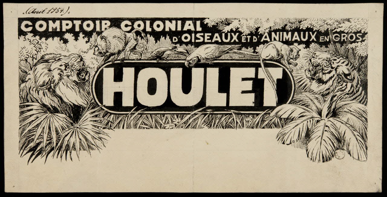 Gustave Soury dessin COMPTOIR COLONIAL  D'OISEAUX ET D'ANIMAUX EN GROS  HOULET 1954 1967.116.678 Photo