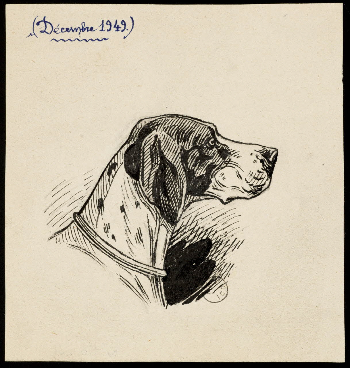 Gustave Soury dessin Tête de pointer 1949 1967.116.721 Photo