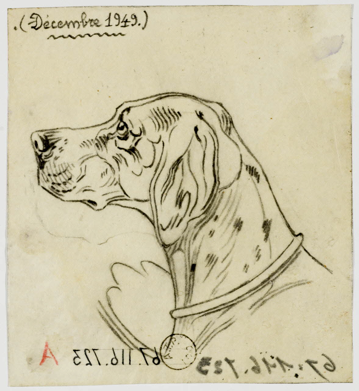 Gustave Soury dessin Tête de pointer 1949 1967.116.723 Photo