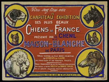 Gustave Soury dessin Publicité pour le chenil de la Maison Blanche 1966 1967.116.736  Photo