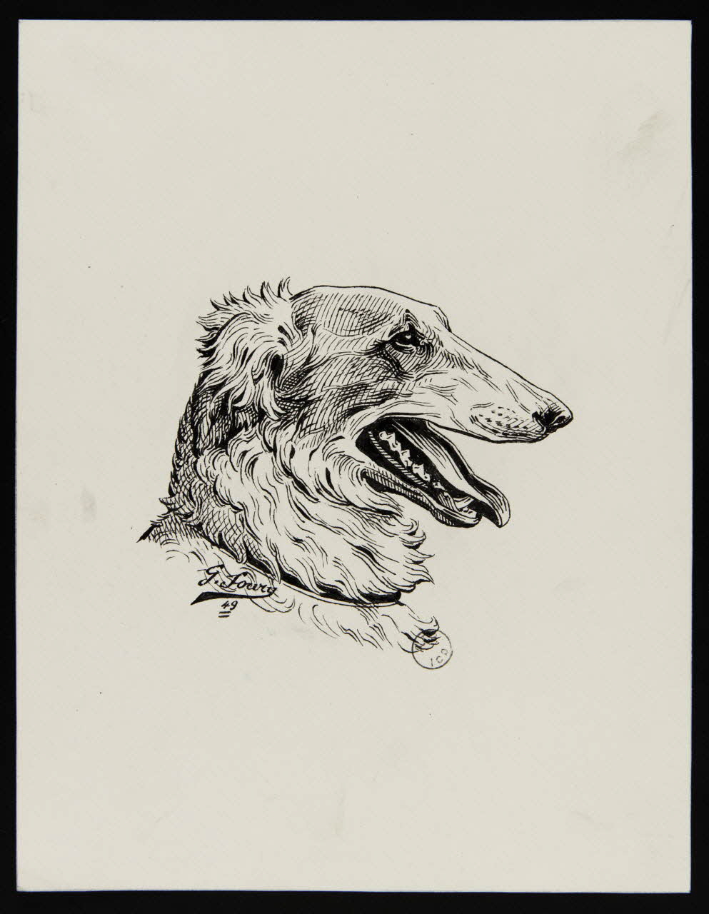 Gustave Soury dessin Têtes de chien 1949 1967.116.738 Photo