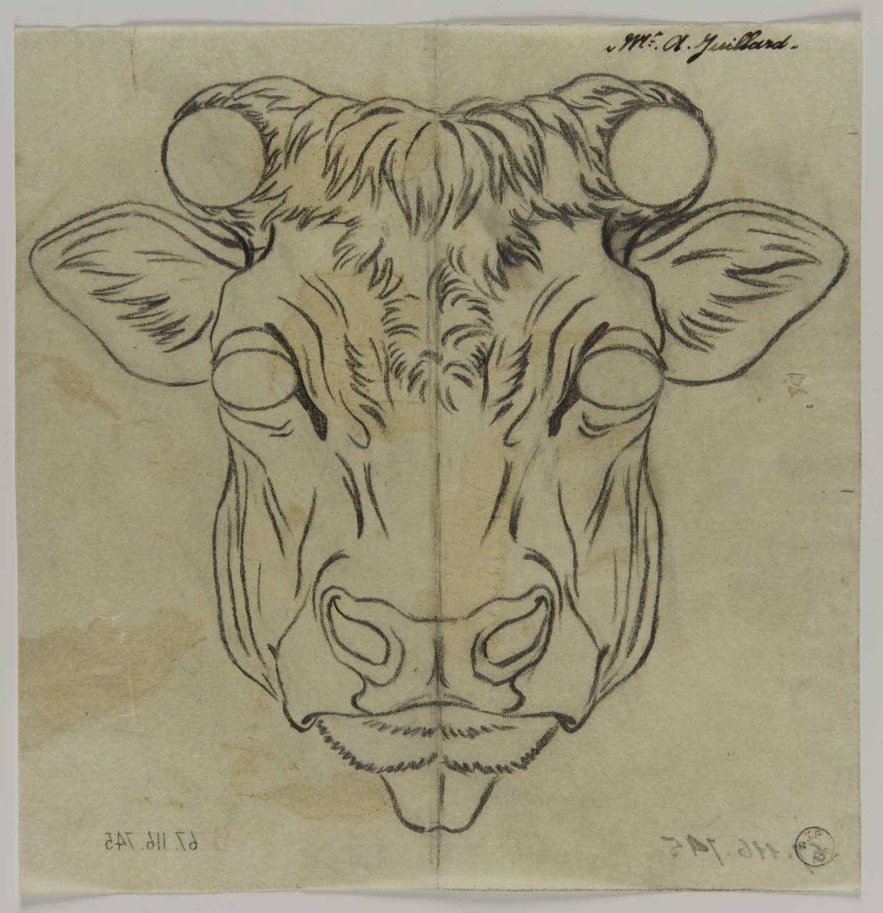 Gustave Soury dessin Projet pour une devanture de boucherie (?) (titre factice)  Mr A. Juillard 1966 1967.116.745 Photo