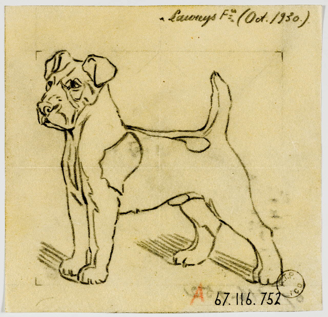 Gustave Soury dessin Fox-terrier 1930 1967.116.752 Photo