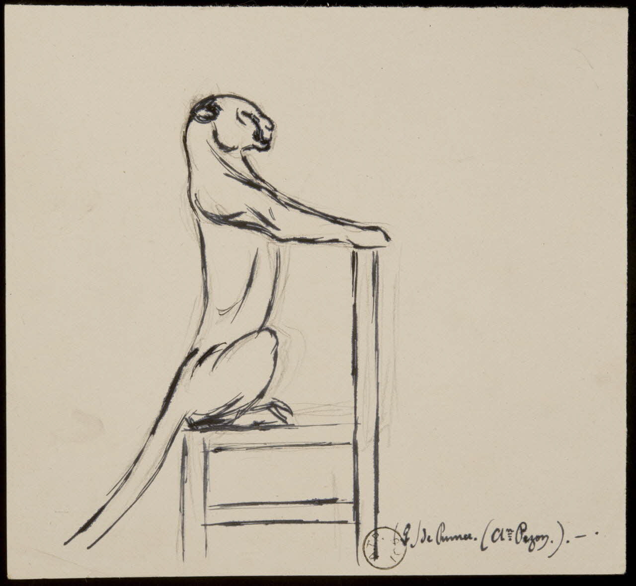 Gustave Soury dessin Puma sur une chaise 1966 1967.116.803 Photo