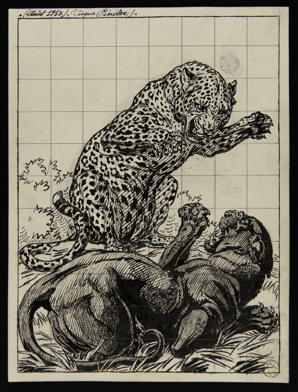Gustave Soury dessin Combat d'une panthère noire et d'une panthère tachetée 1950 1967.116.809 Photo