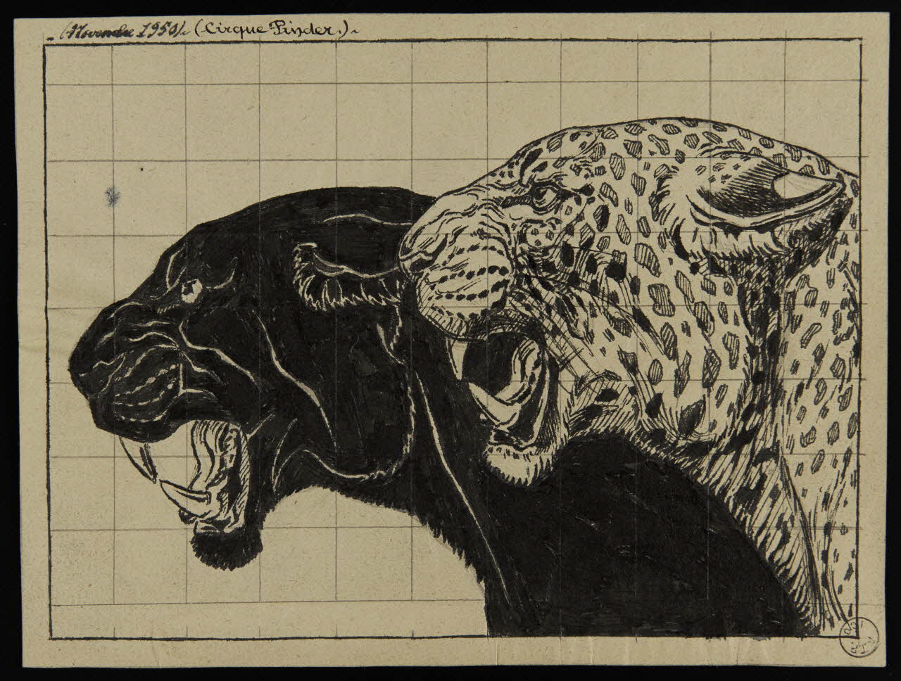 Gustave Soury dessin Deux panthères 1950 1967.116.810 Photo