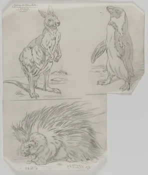 Gustave Soury dessin Projet de publicité (?) pour le cirque Pinder 1956 1967.116.813 Photo