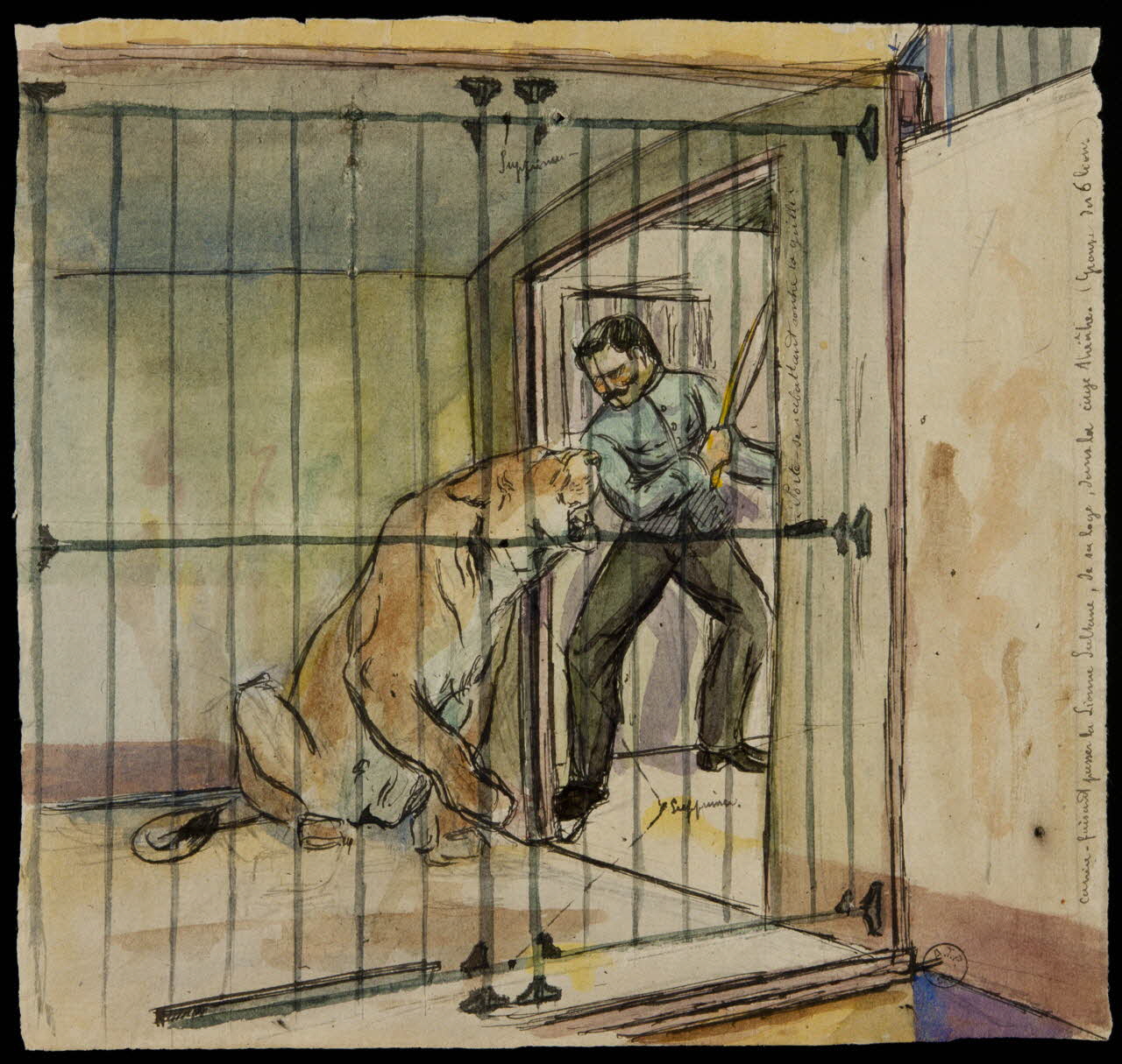 Gustave Soury dessin Carrère faisant passer la Lionne Sultane, de sa loge, dans la cage théâtre 1966 1967.116.901 Photo