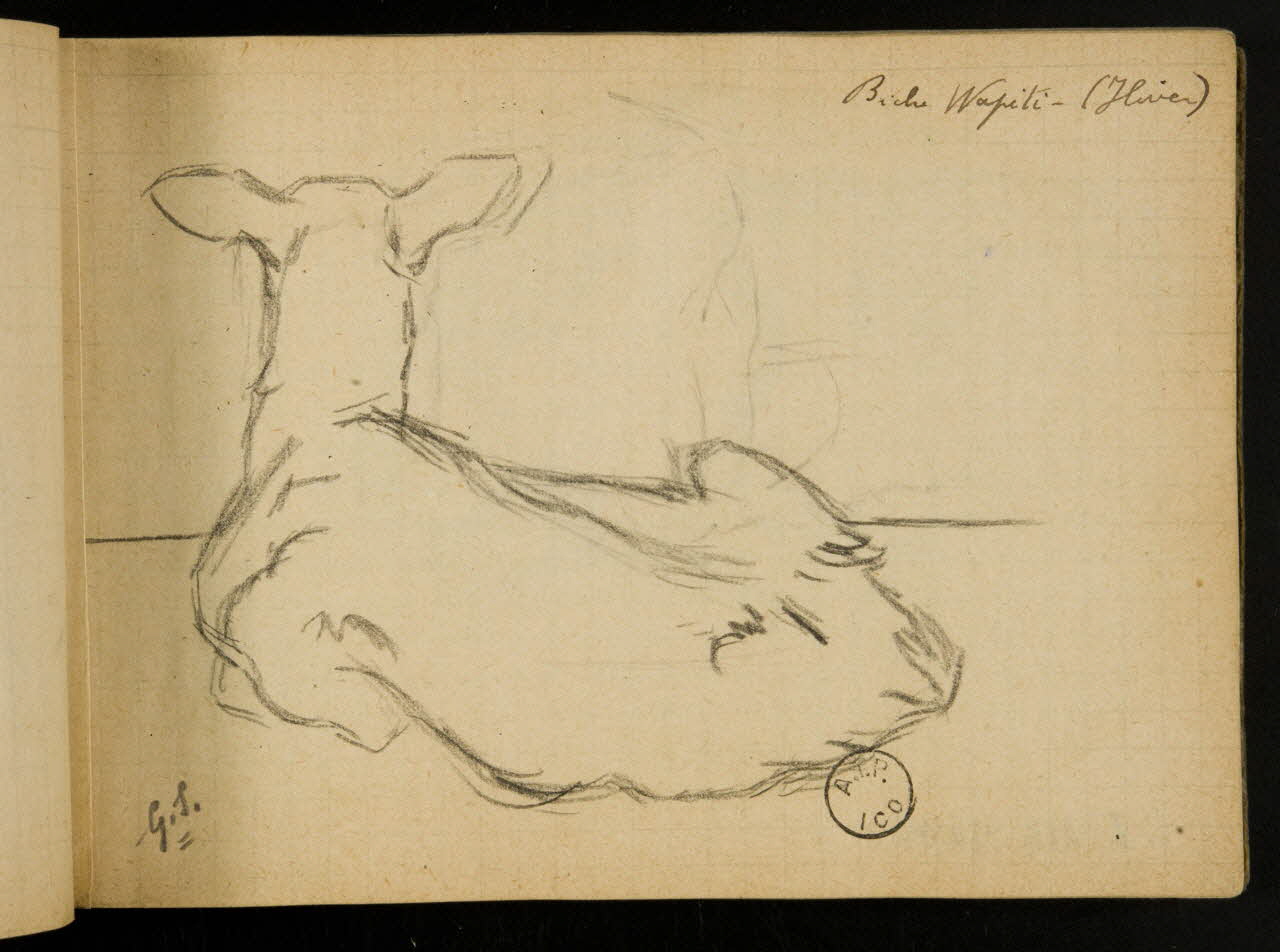 carnet de dessins Biche couchée 1967.116.914.19 Photo