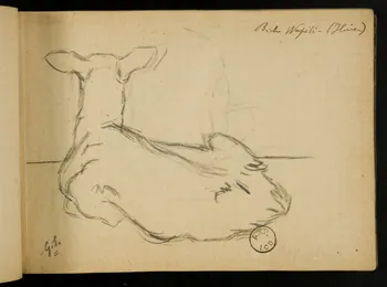 carnet de dessins Biche couchée 1967.116.914.19 Photo