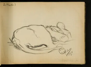 Gustave Soury carnet de dessins carnet de dessins 1903 1967.116.914.50 Photo