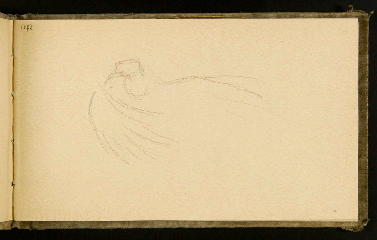 Gustave Soury carnet de dessins Vautour fauve 1903 1967.116.915.10 Photo