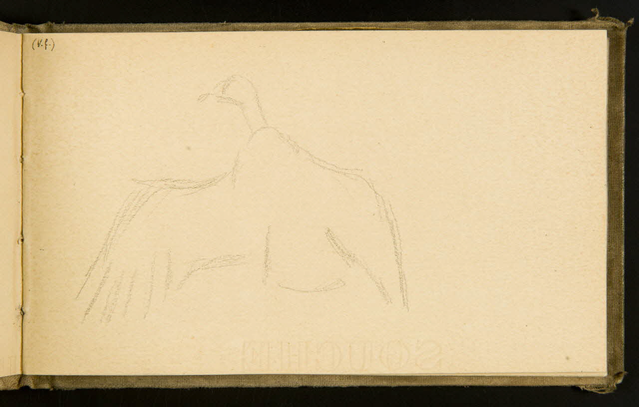 Gustave Soury carnet de dessins Vautour fauve 1903 1967.116.915.11 Photo