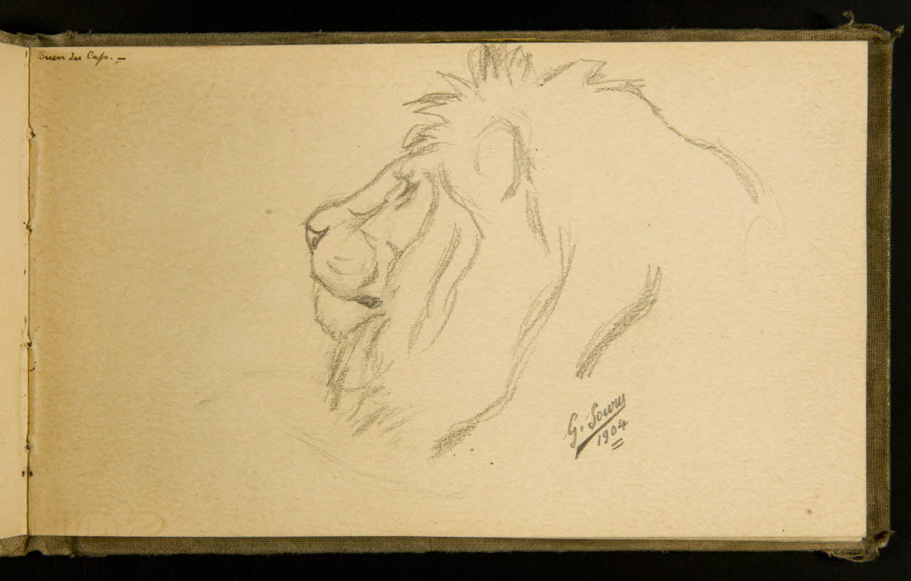 Gustave Soury carnet de dessins Tête de lion de profil 1904 1967.116.915.12 Photo
