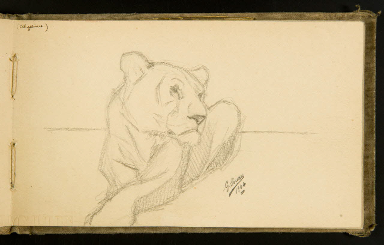 Gustave Soury carnet de dessins Lionne couchée 1904 1967.116.915.13 Photo