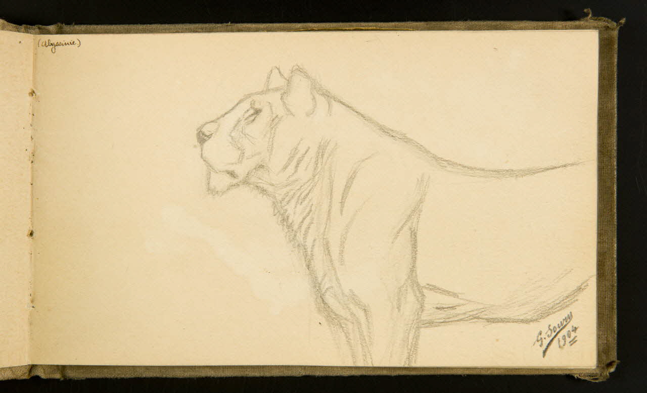 Gustave Soury carnet de dessins Lionne debout 1904 1967.116.915.14 Photo