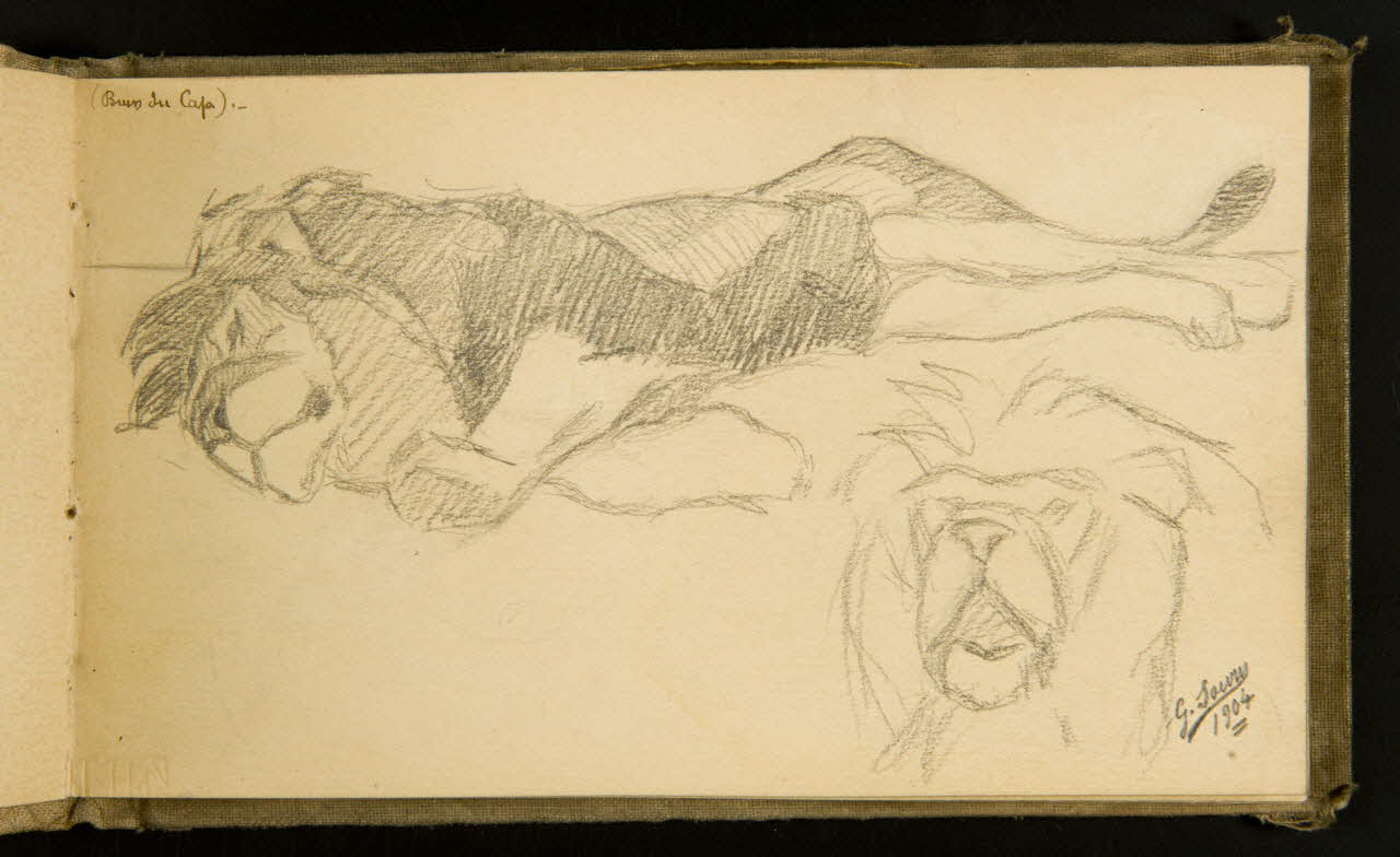 Gustave Soury carnet de dessins Deux lions 1904 1967.116.915.15 Photo