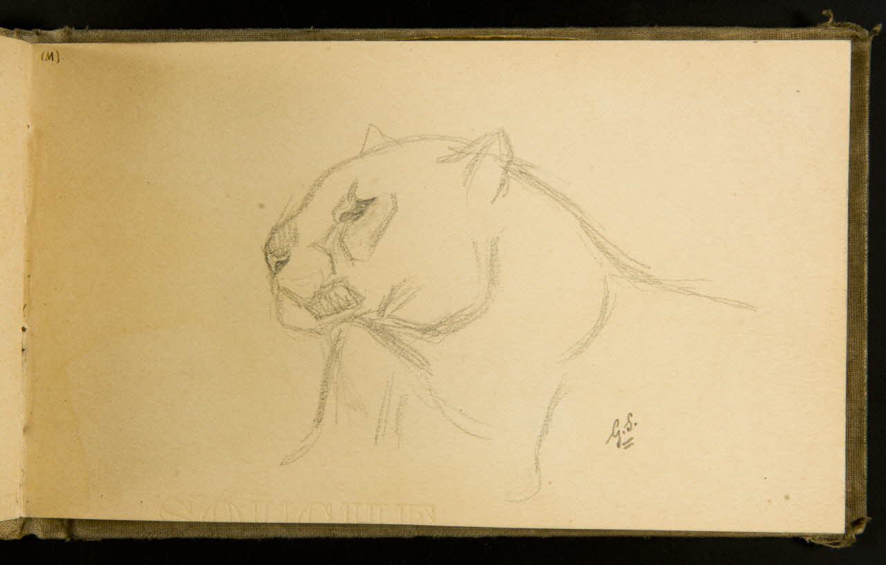 Gustave Soury carnet de dessins Panthère mâle 1903 1967.116.915.16 Photo