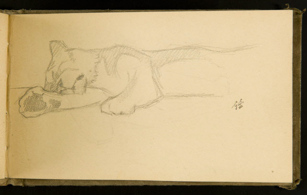 Gustave Soury carnet de dessins Lionne couchée 1903 1967.116.915.17 Photo
