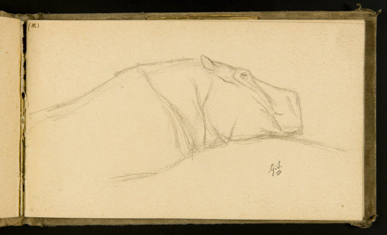 Gustave Soury carnet de dessins Hippopotame 1903 1967.116.915.18 Photo