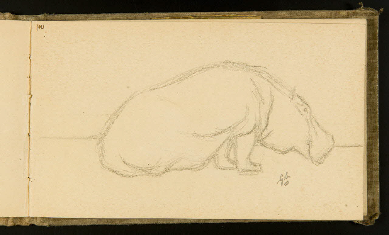 Gustave Soury carnet de dessins Hippopotame 1903 1967.116.915.19 Photo