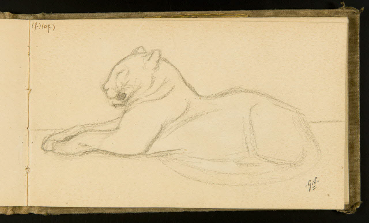 Gustave Soury carnet de dessins Lionne ou panthère couchée 1903 1967.116.915.20 Photo
