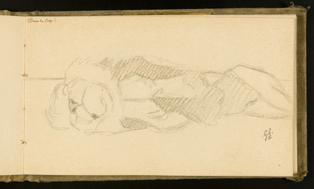 Gustave Soury carnet de dessins Lion couché 1903 1967.116.915.21 Photo