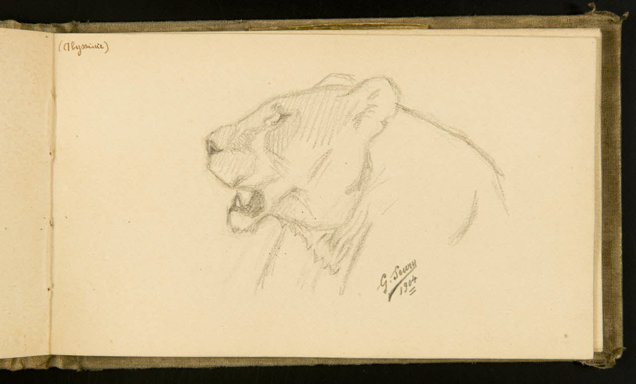Gustave Soury carnet de dessins Lion ou lionne rugissant 1904 1967.116.915.23 Photo