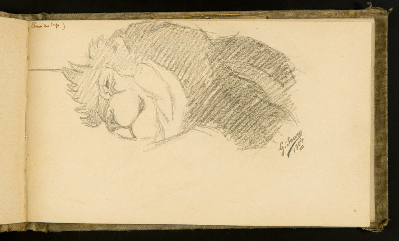 Gustave Soury carnet de dessins Lion couché 1904 1967.116.915.25 Photo