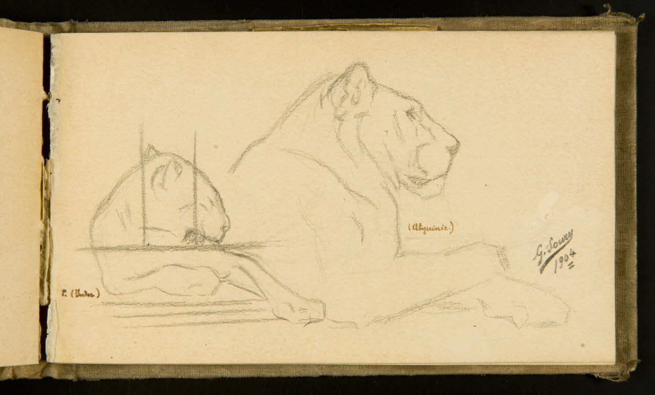Gustave Soury carnet de dessins Panthère en cage et lionne couchées 1904 1967.116.915.26 Photo