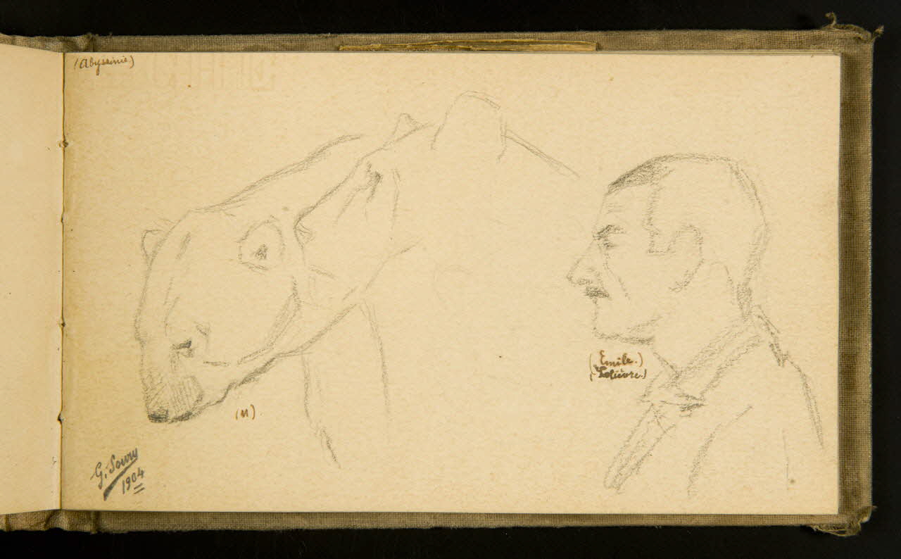 Gustave Soury carnet de dessins Ours blanc, lion et portrait d'homme en buste, de profil 1904 1967.116.915.29 Photo