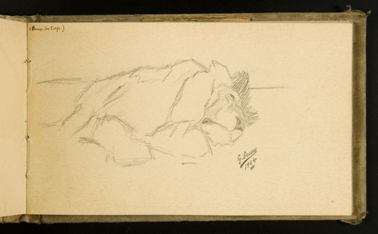 Gustave Soury carnet de dessins Lion couché 1904 1967.116.915.30 Photo