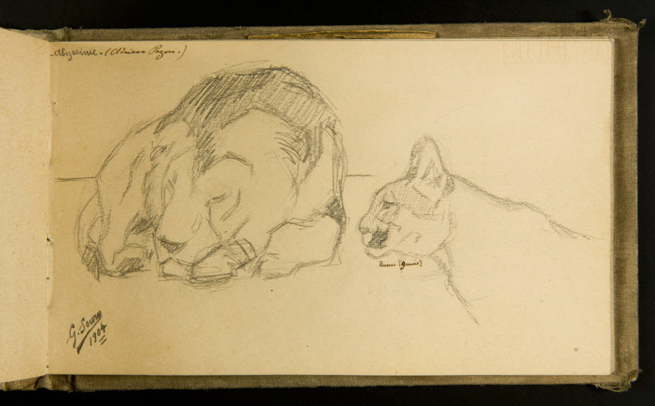Gustave Soury carnet de dessins Lion couché et puma 1904 1967.116.915.33 Photo