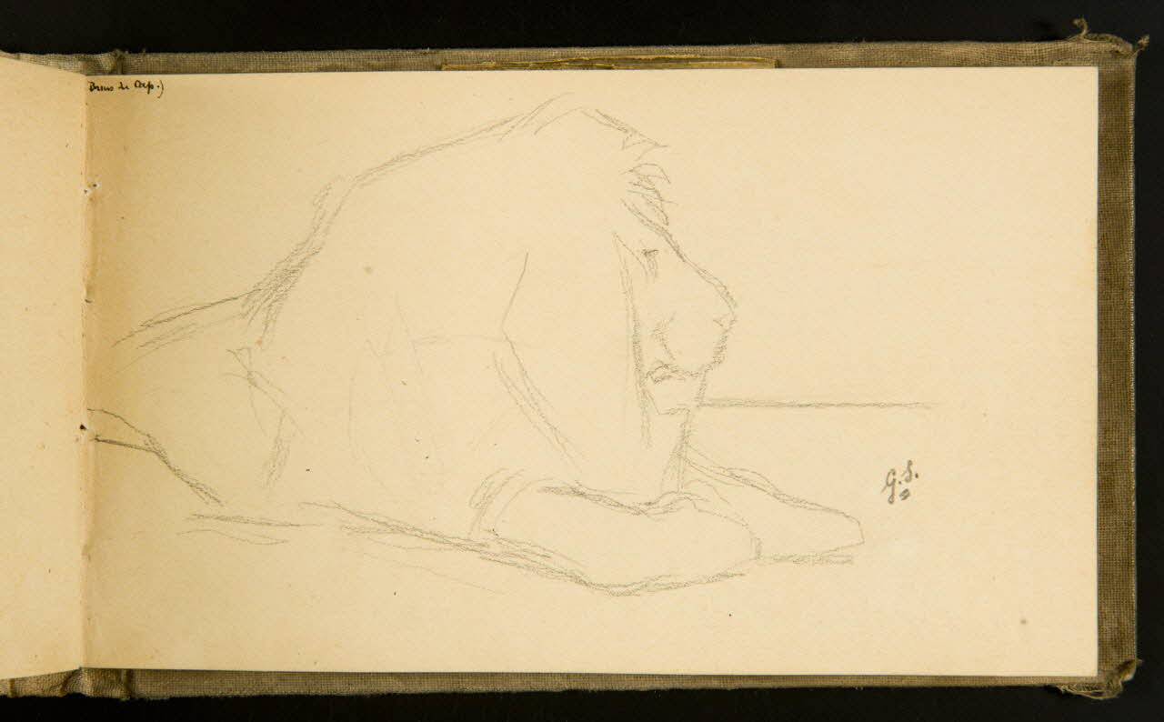 Gustave Soury carnet de dessins Lion couché 1903 1967.116.915.34 Photo
