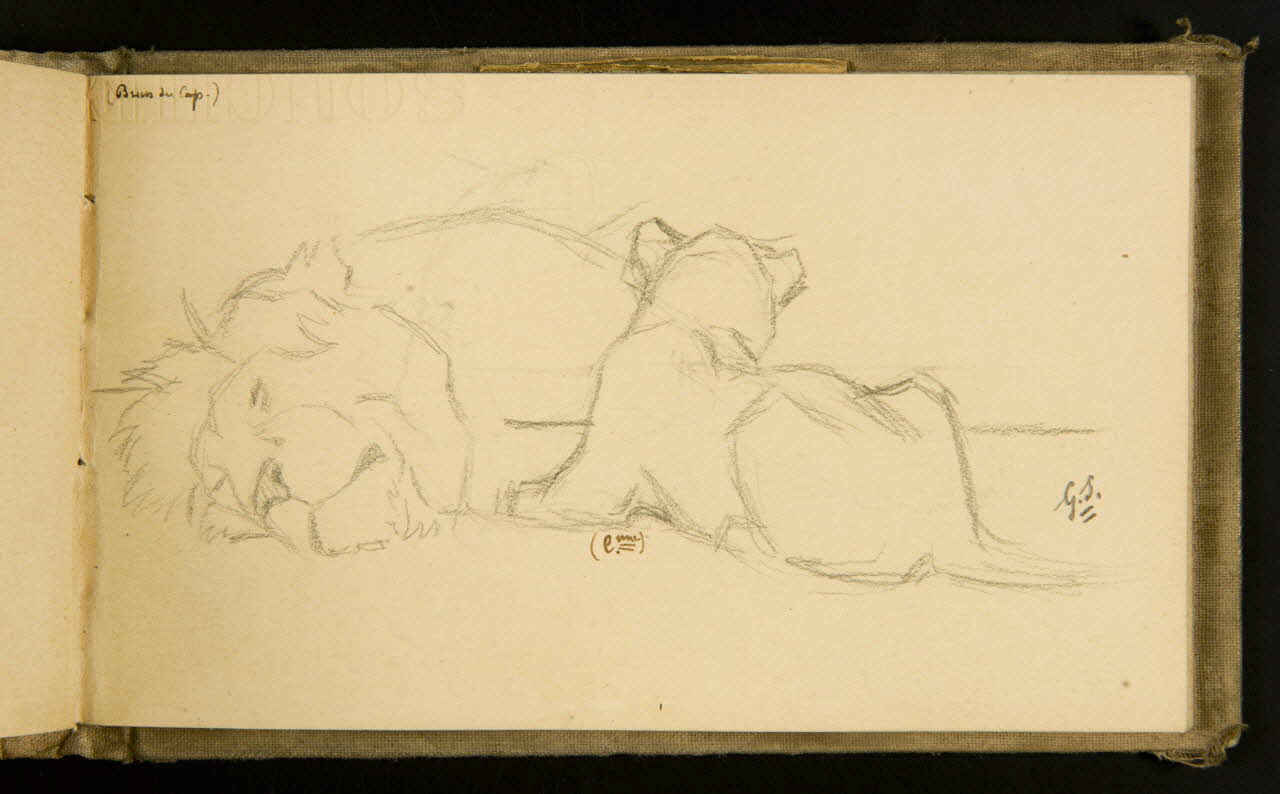 Gustave Soury carnet de dessins Lion et lionne couchés 1903 1967.116.915.35 Photo
