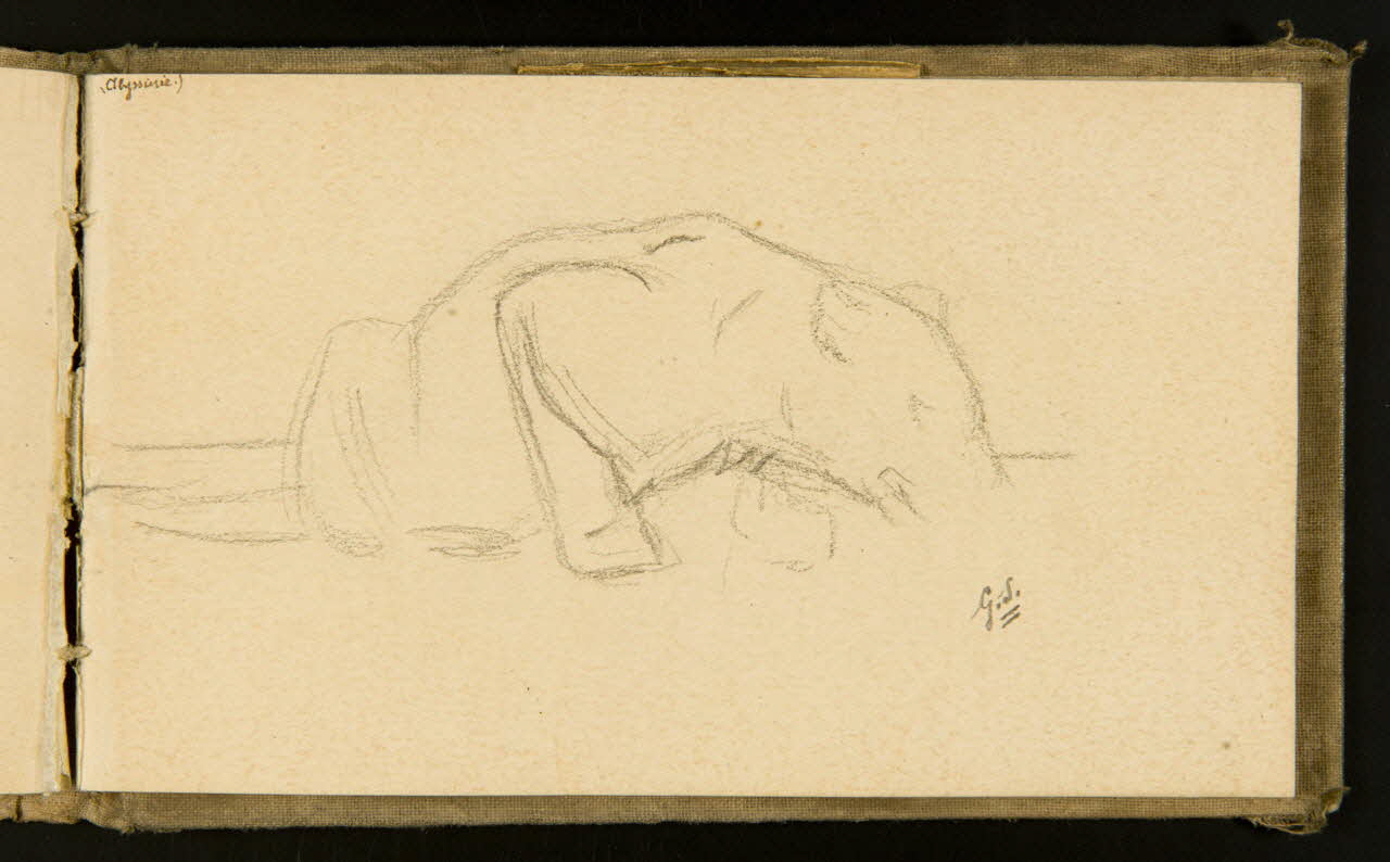 Gustave Soury ensemble (2) Félin buvant 1903 1967.116.915.36 Photo