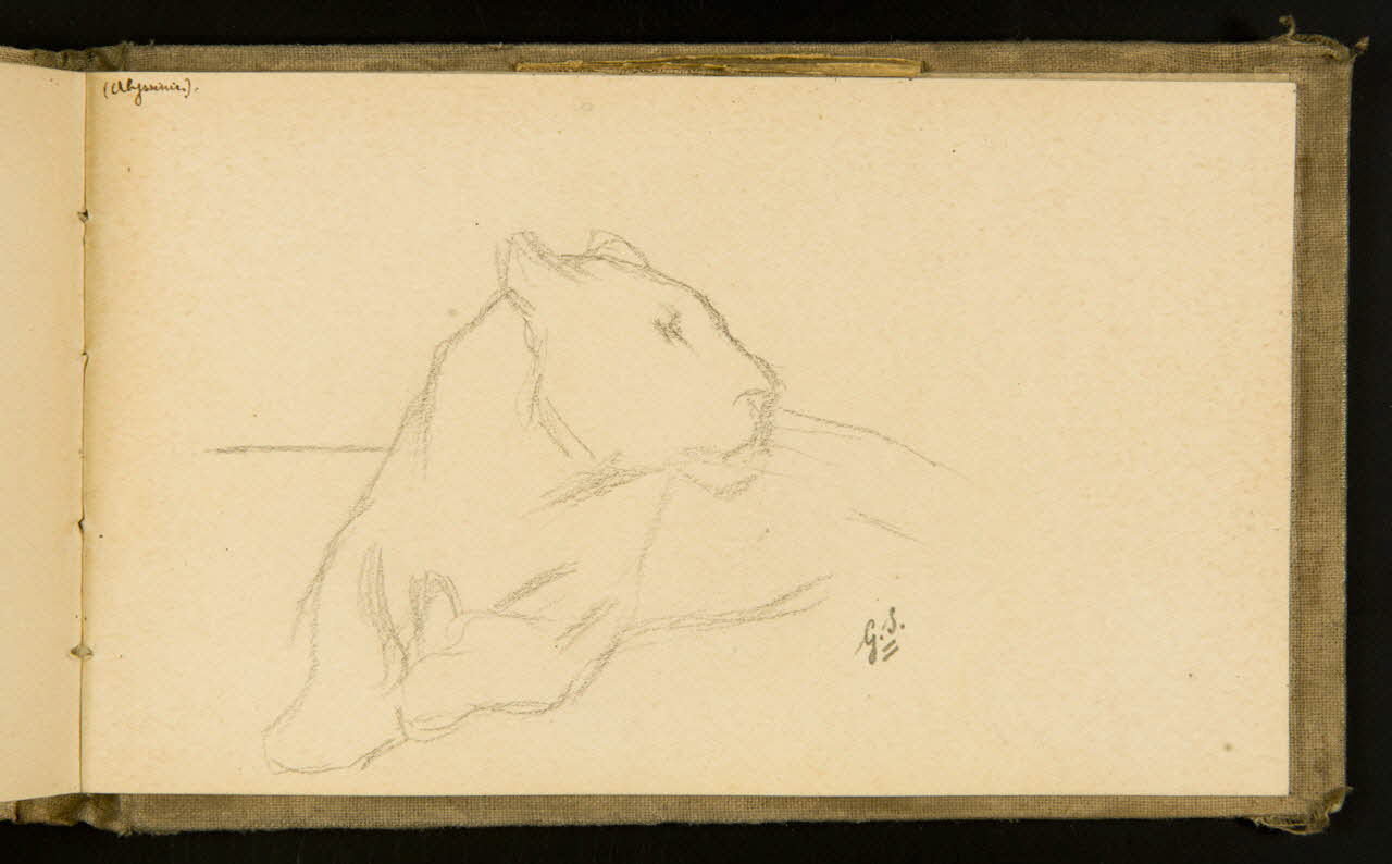 Gustave Soury carnet de dessins Lionne couchée 1903 1967.116.915.38 Photo