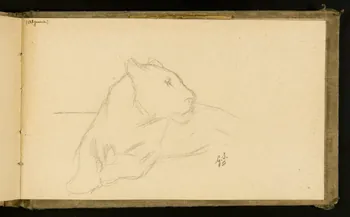 Gustave Soury carnet de dessins Lionne couchée 1903 1967.116.915.38 Photo
