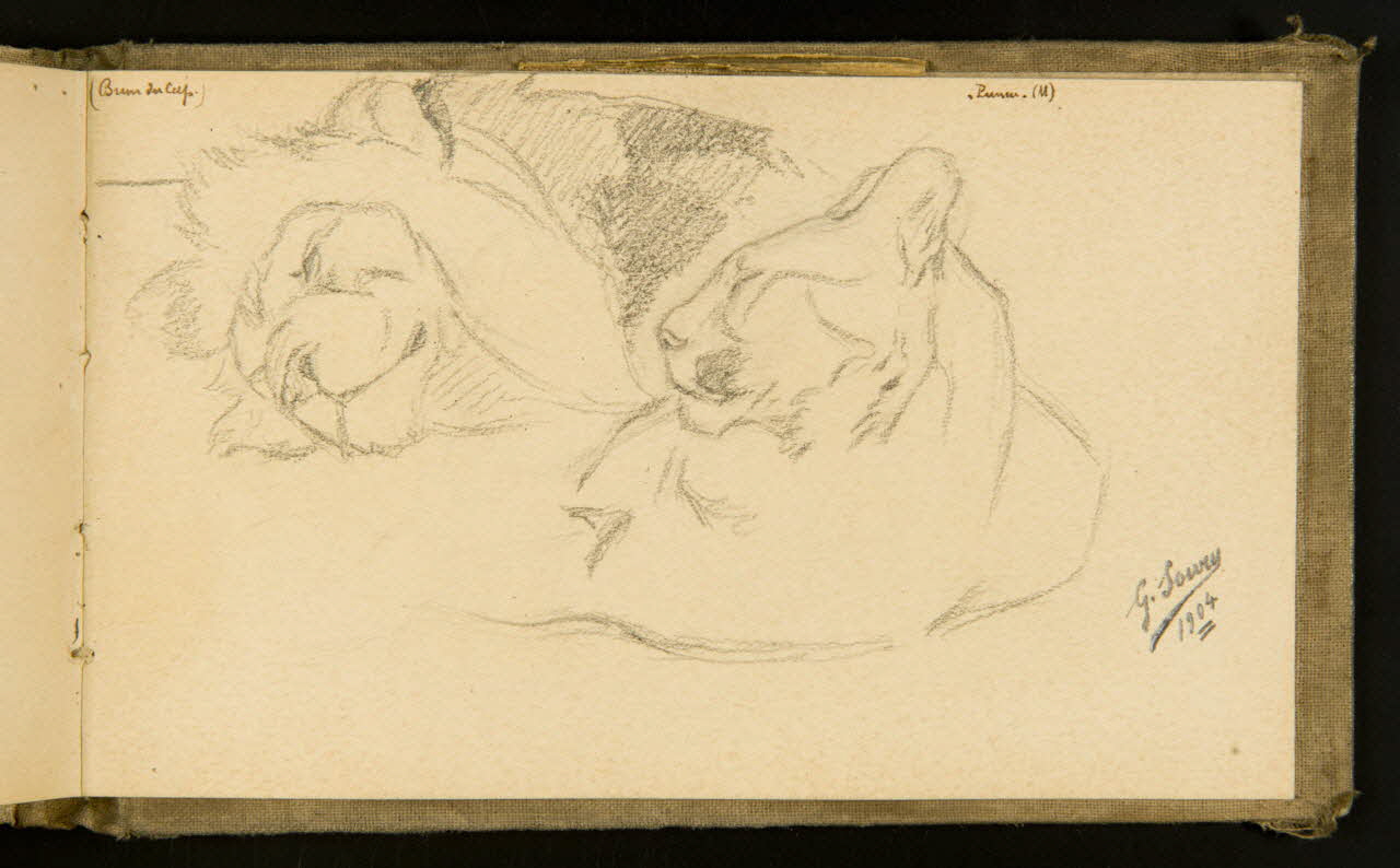 Gustave Soury carnet de dessins Lion et puma couchés 1904 1967.116.915.39 Photo